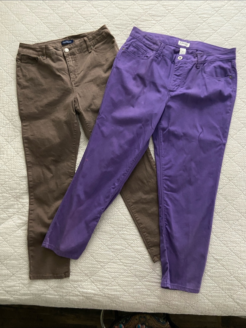 Bandolino Purple Slim Chinos with Brown Pair